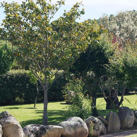 Les Jardins De Santa Giulia - Charmante Chambre D'Hote Porto-Vecchio  Bagian luar foto
